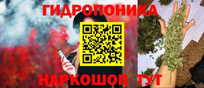 мет Кимры