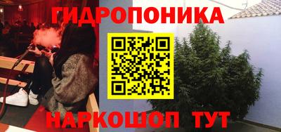 стафф Кинель