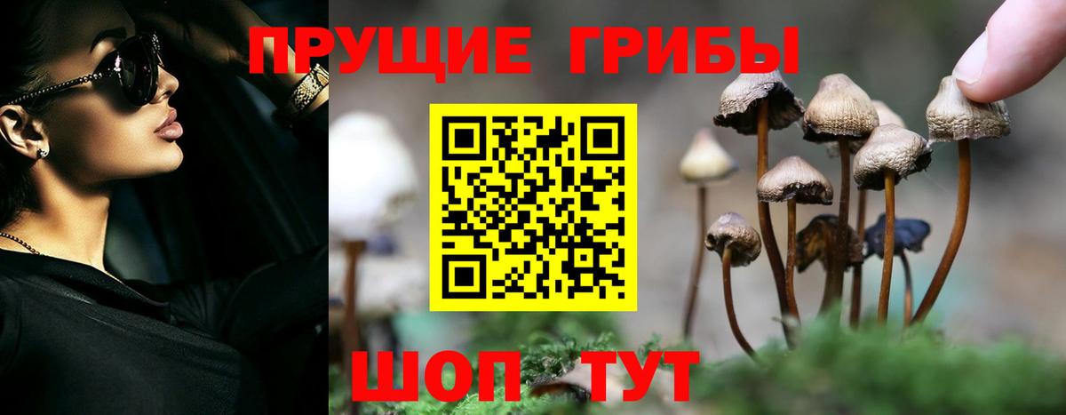 Псилоцибиновые грибы MAGIC MUSHROOMS  Вход с VPN  Шатура 